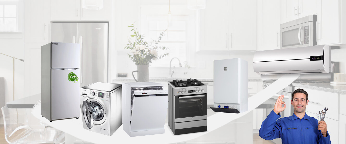 Düzce Smeg Servisi